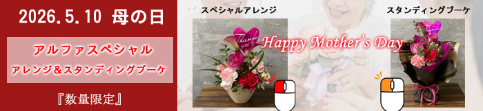 ��̓��M�t�g